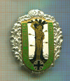 Нагрудный знак. Германия