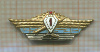 Нагрудный знак "1 класс"