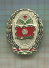 Воинский знак. Венгрия