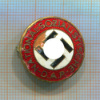 Нагрудный знак члена НСДАП. Германия