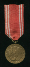 Бронзовая медаль "За заслуги при защите страны". Польша