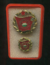 Нагрудный знак "Социалистическая бригада". Венгрия. С миниатюрой в оригиальном футляре