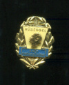 Нагрудный знак. Венгрия