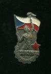Нагрудный знак. Областная спартакиада. Чехословакия 1955г