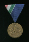 Медаль за борьбу с наводнением. Венгрия