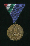 Медаль за борьбу с наводнением. Венгрия