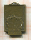 Медаль. Турин 1911 1911г