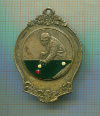 Медаль. Снукер